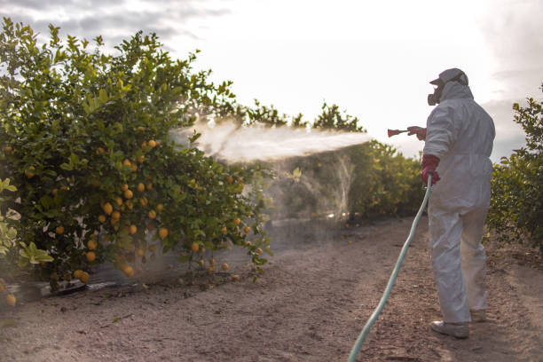 Pest Prevention Services in Cresskill, NJ